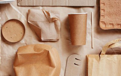 Revolutionize Your Packaging with Eco-Friendly Solutions